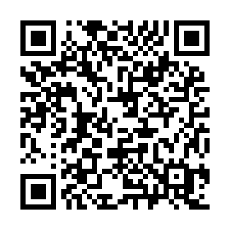 QR code for 382YJG