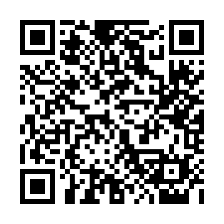 QR code for 383NML