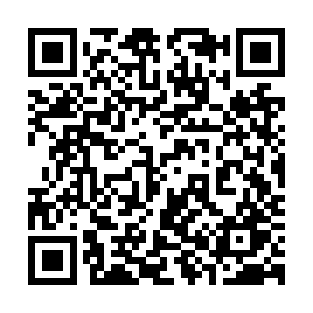 QR code for 383NZW
