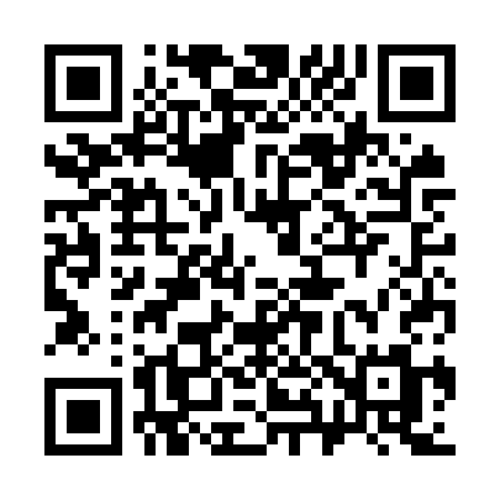 QR code for 383OSM