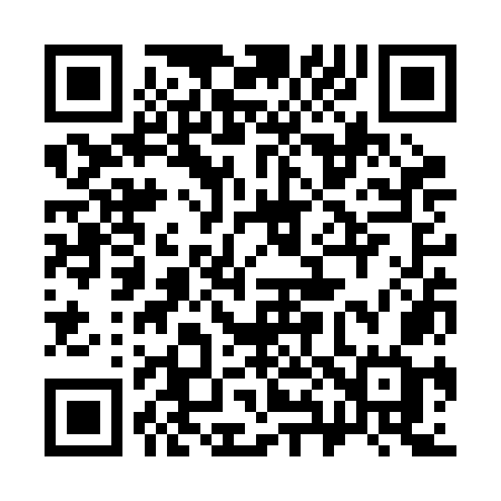 QR code for 383ROG