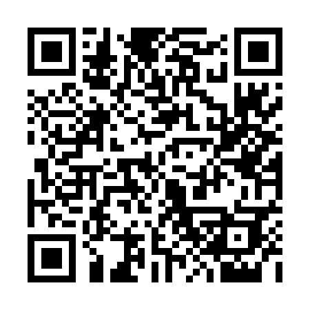 QR code for 384DBK