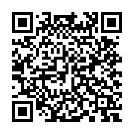 QR code for 384DVP
