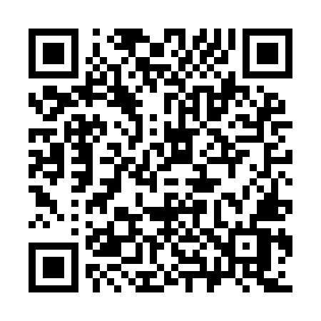 QR code for 384IMV
