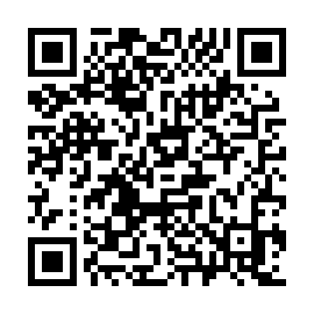 QR code for 384LSK