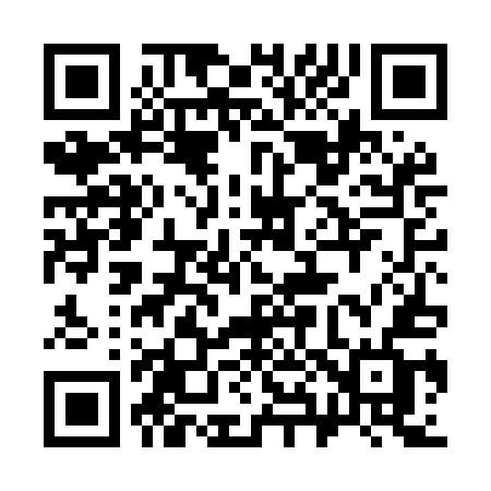 QR code for 384MEF