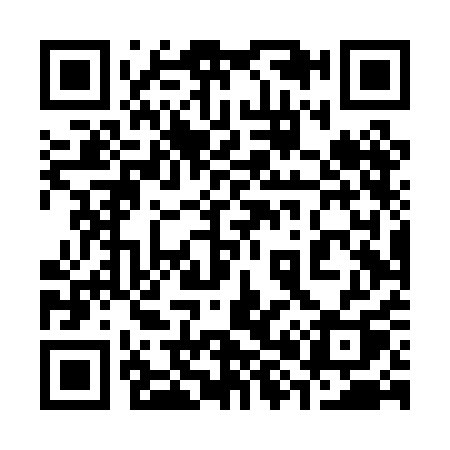 QR code for 384PAQ