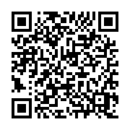 QR code for 384QHV