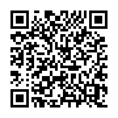 QR code for 384RLT