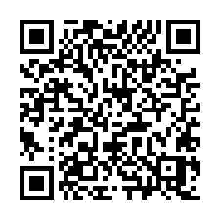 QR code for 384TLS