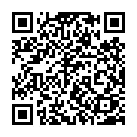 QR code for 384TSP