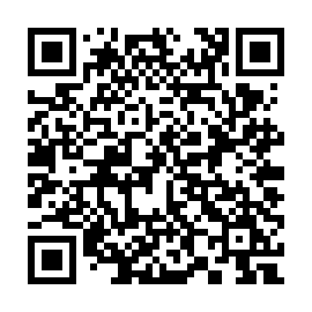 QR code for 384VDM