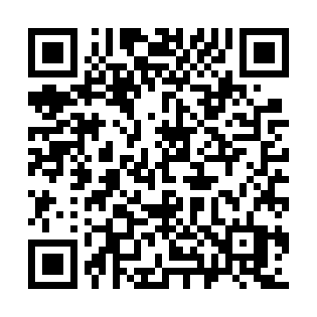 QR code for 384VZT