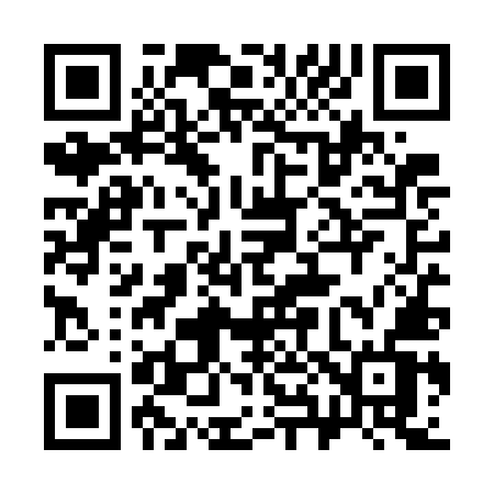 QR code for 384WMV