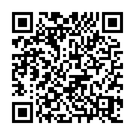 QR code for 384XVP
