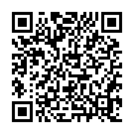 QR code for 384ZOJ
