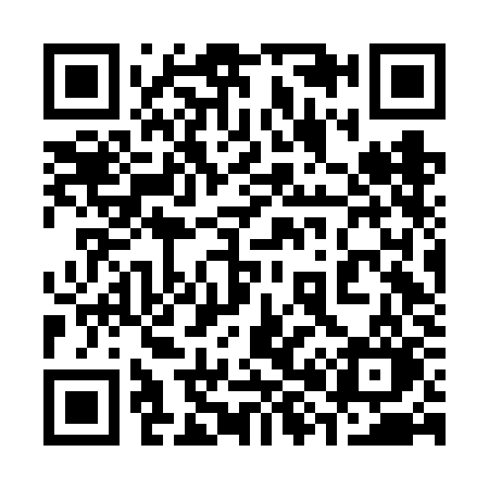 QR code for 386FKO
