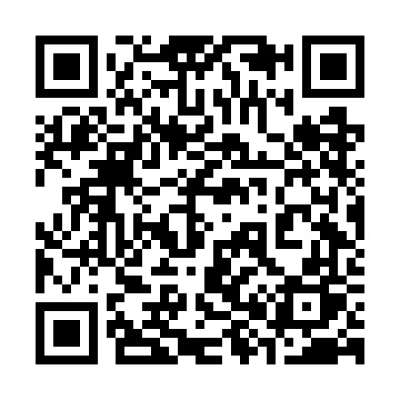 QR code for 386GFP