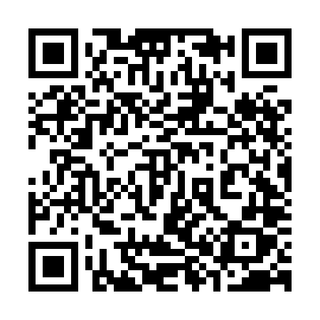 QR code for 386HLX