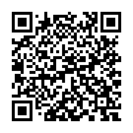 QR code for 386HVO