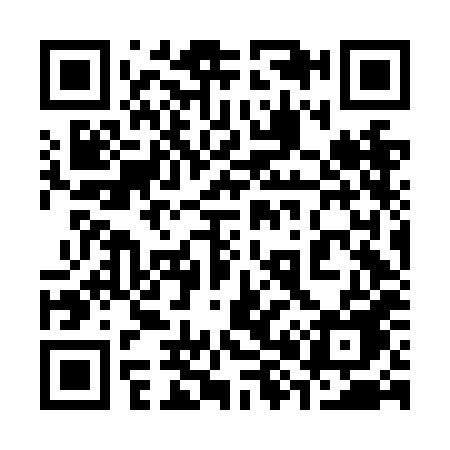 QR code for 386NHE