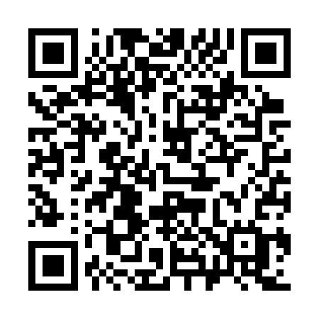 QR code for 386SSG