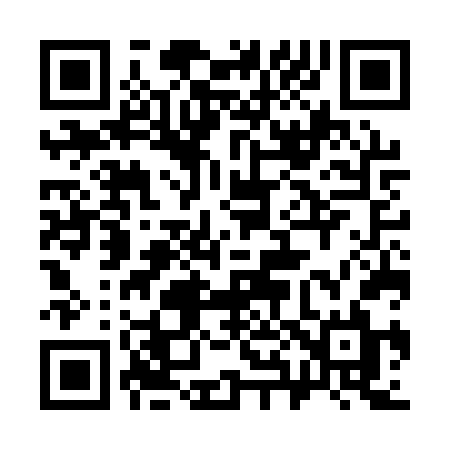 QR code for 387AVL