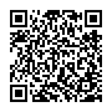 QR code for 387FOV