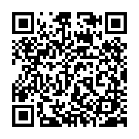 QR code for 387PNM