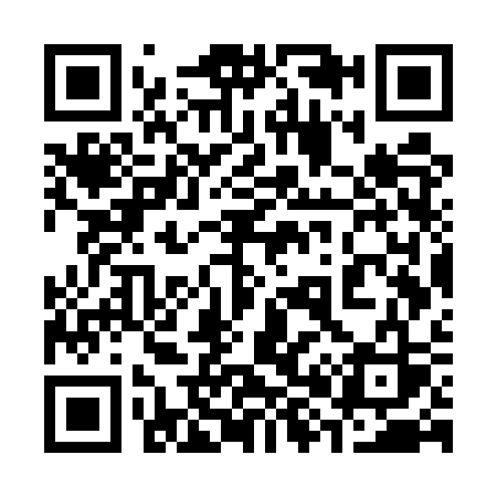 QR code for 387USS