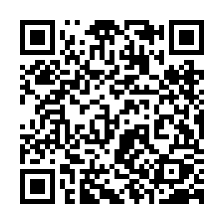 QR code for 389BOY