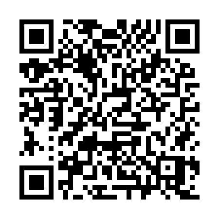 QR code for 389IWP