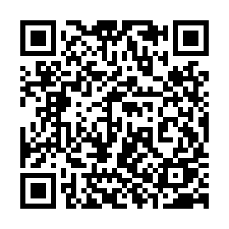 QR code for 389LYU