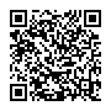 QR code for 393CZK
