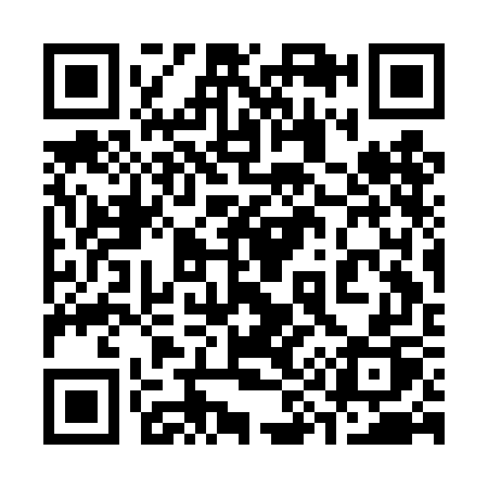 QR code for 393DGP