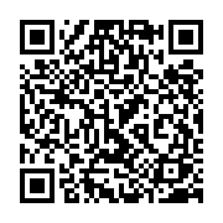 QR code for 393EFQ