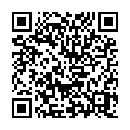 QR code for 393ICW