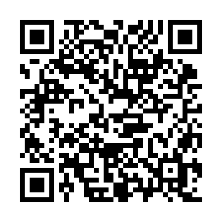 QR code for 393KOL