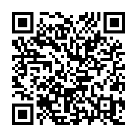 QR code for 393MNI