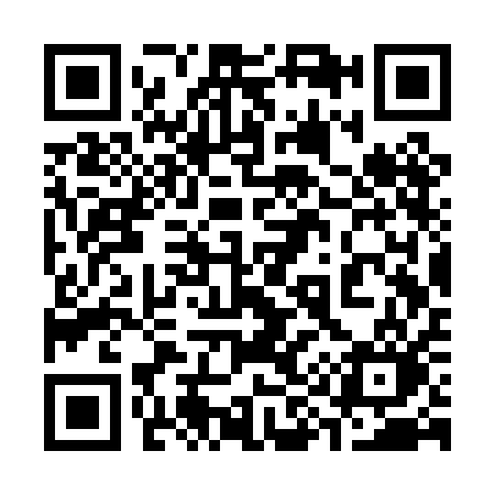 QR code for 393PAO