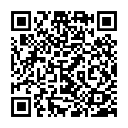 QR code for 393PQY
