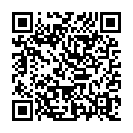 QR code for 393YQM
