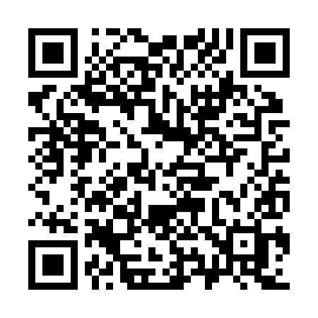 QR code for 393ZYH