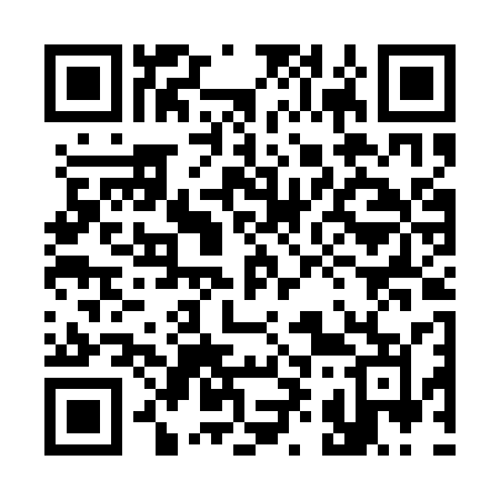 QR code for 394ASM