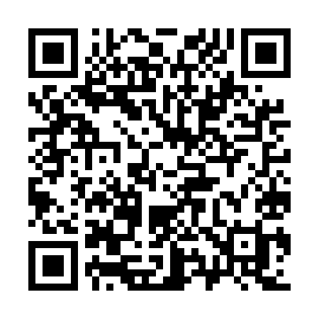 QR code for 397EII