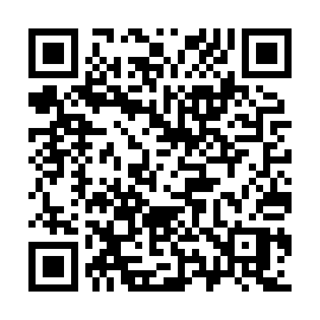 QR code for 397HQP