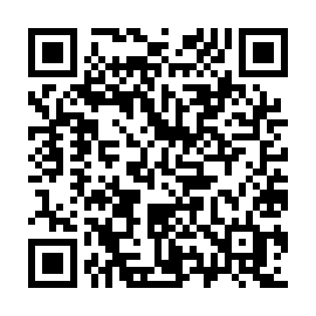 QR code for 397QID