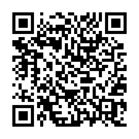 QR code for 397RUB