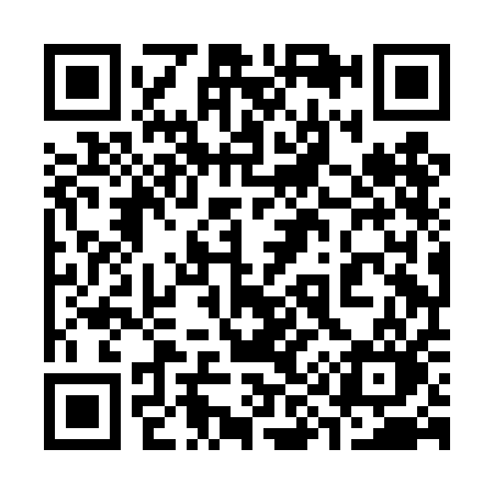 QR code for 398DAO