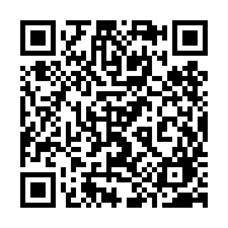 QR code for 399TIG